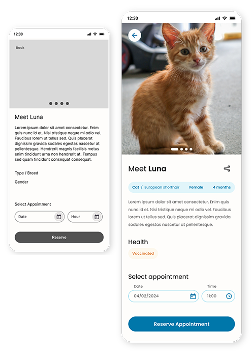 Snagie mockup with redesigned search, filters and pet card