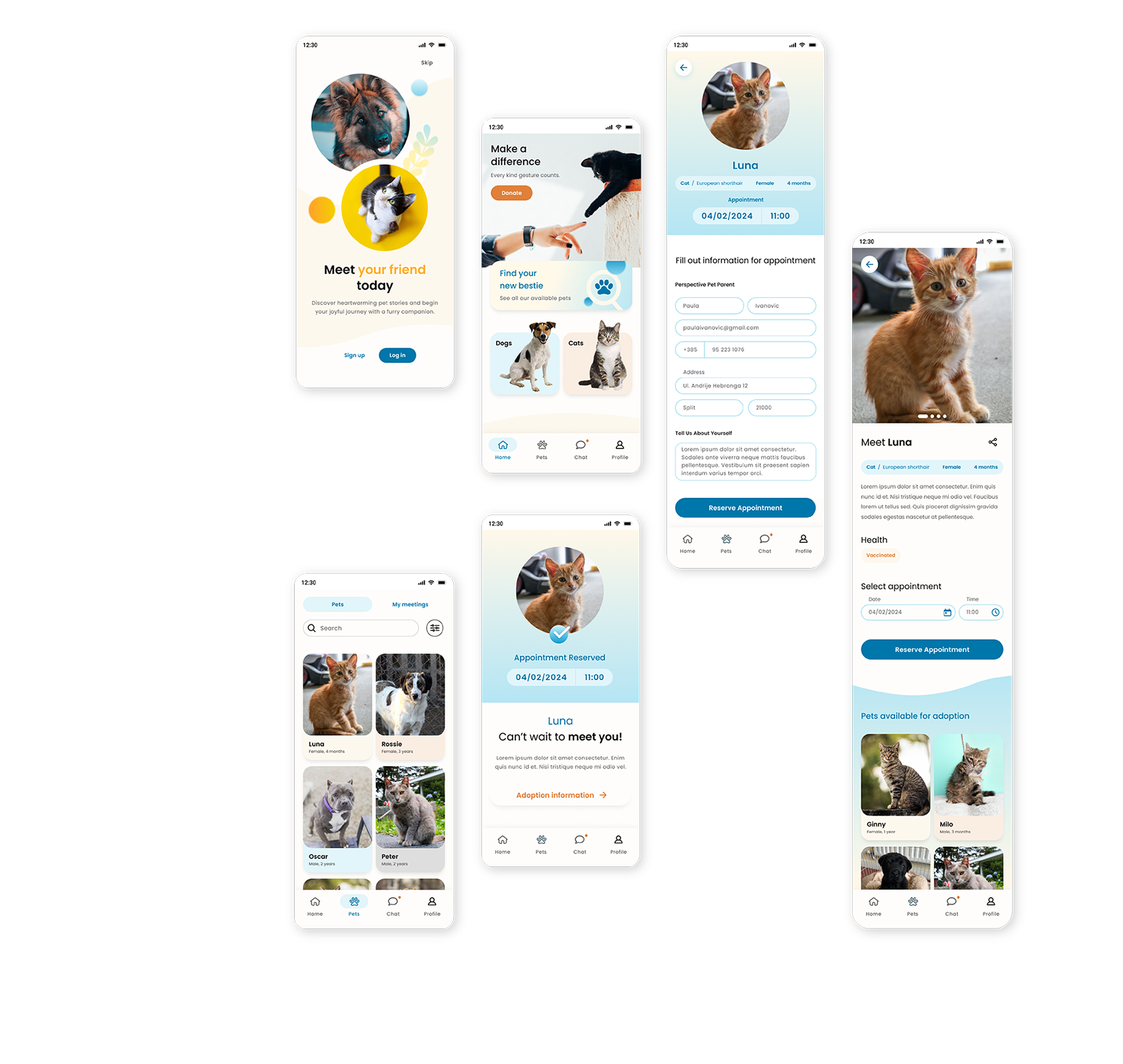 Showcase of the final Snagie responsive web design