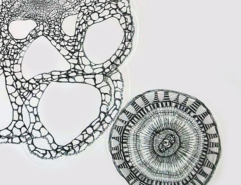 Mixed media — red roundel and discs