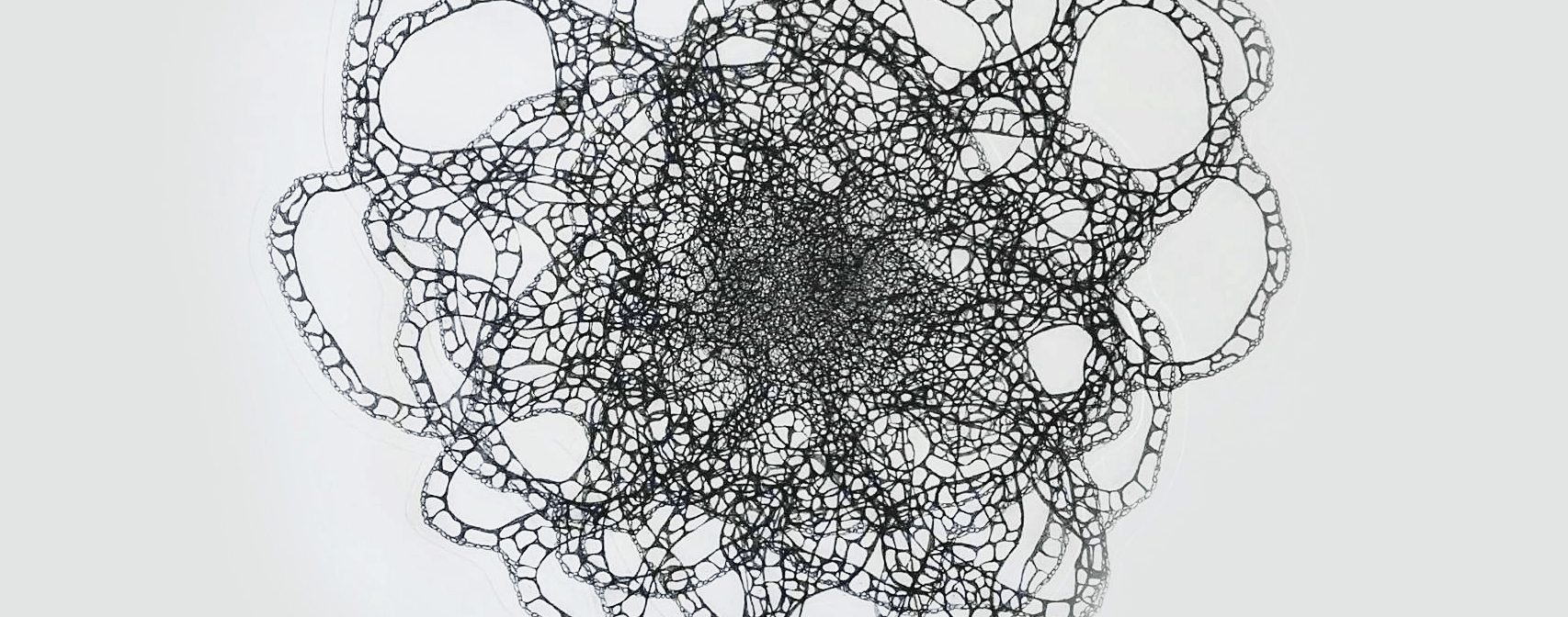 Drawing — intricate organic web